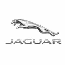 jaguar 1_1