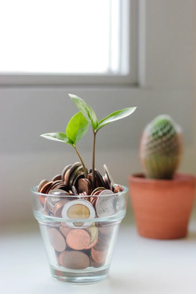 A clear jar of coins with a plant shoot growing out of it with a cactus in the background