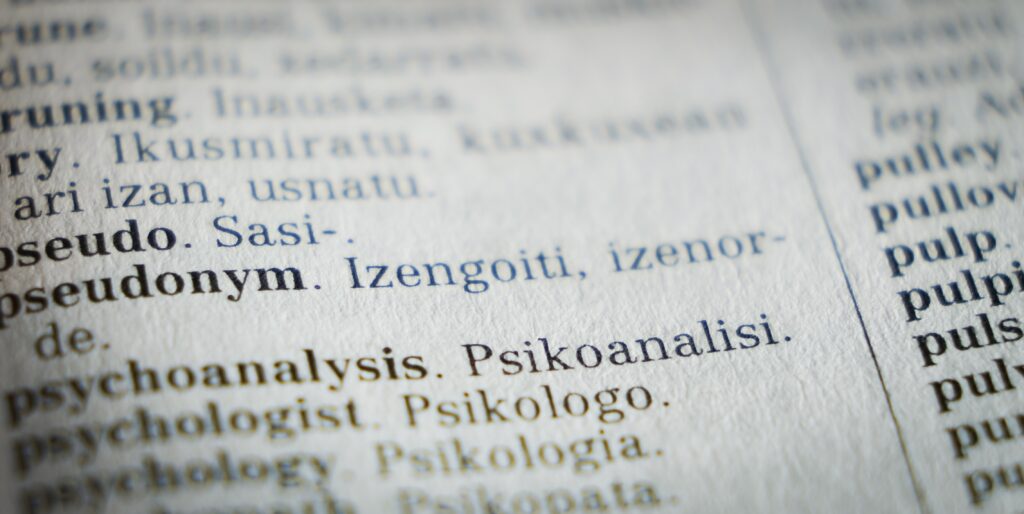 Close up image of an English to Basque dictionary to depict language, translation and transcreation